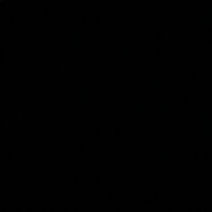 Meet your Posher, Jack